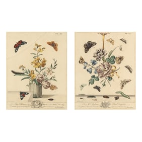 Moses Harris (British, 1730-1785), Pair of Engravings from The Aurelian, A Natural History of