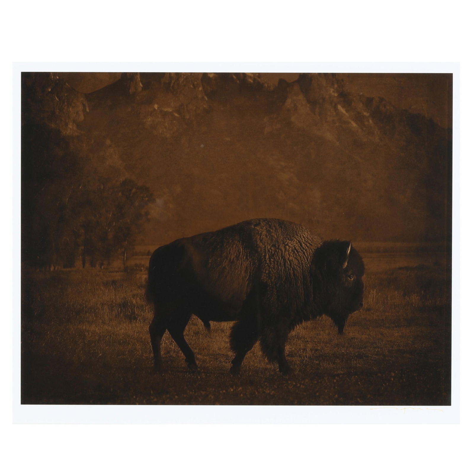 Jack Spencer (American, born 1951), Buffalo / Tetons, Wyoming: Jack Spencer (American, born 1951), Buffalo / Tetons, Wyomingarchival pigment print with mixed media glaze, 2007, hand signed at lower right, from This Land: An American Portrait series, matted and fr