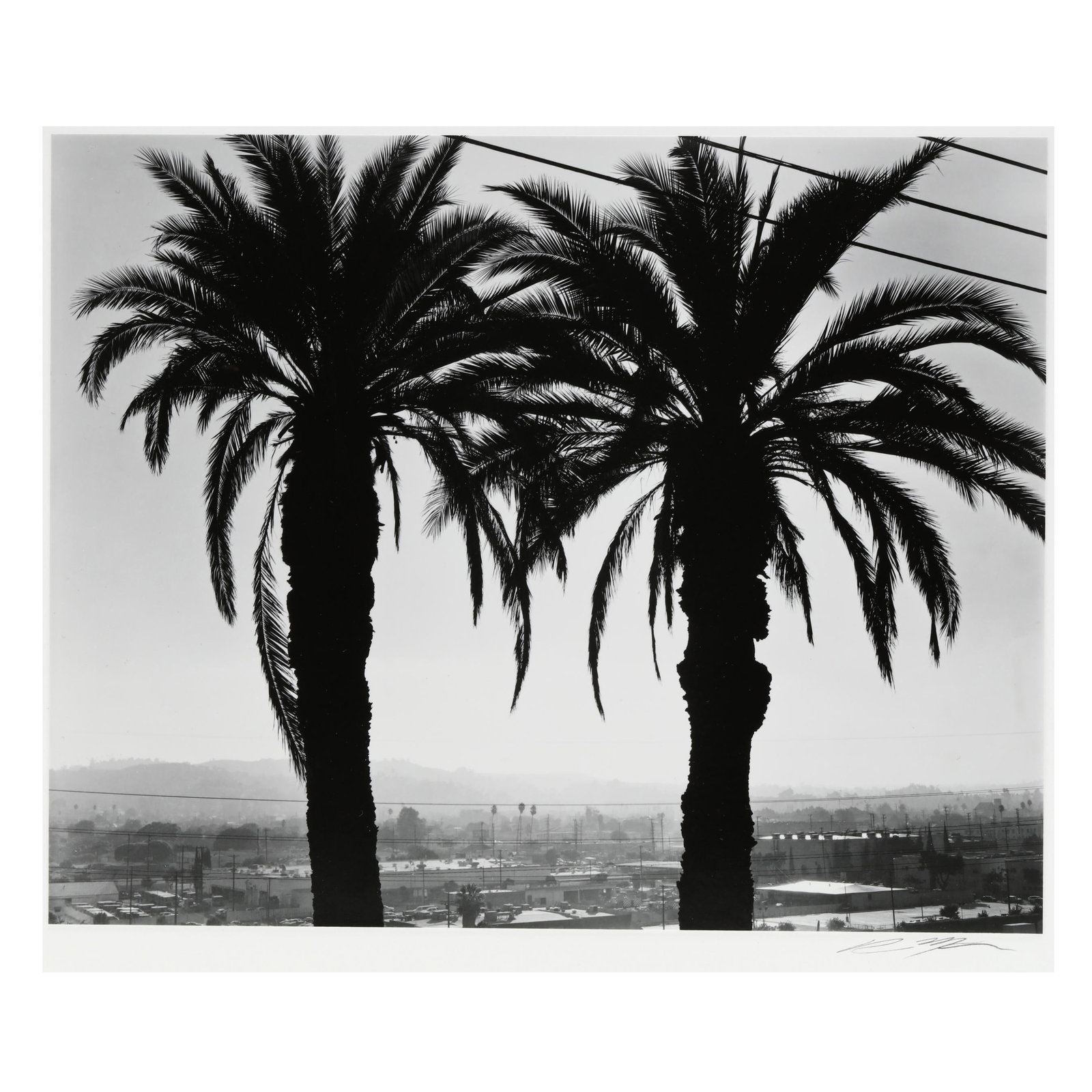 Ryan McIntosh (American, born 1984), Twin Palms, Sunrise, Elysian Park, Los Angeles, California ,: Ryan McIntosh (American, born 1984), Twin Palms, Sunrise, Elysian Park, Los Angeles, California, 2019 gelatin silver print, 2019, printed 2020, pencil signed to mount at lower right, pencil signed, ti