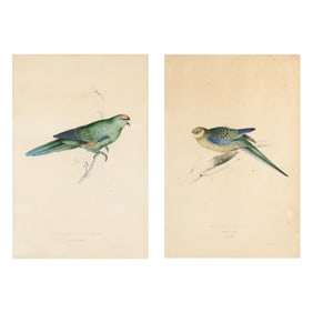 Edward Lear (British, 1812-1888), Two Parakeet Prints from  Illustrations of the Family of