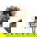 item-199184717=3