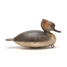 Mark Daisey (VA), Hooded Merganser