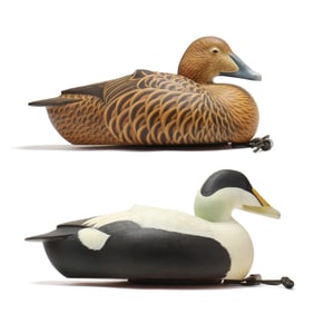 Ben Heinemann (NC), Pair of Eiders