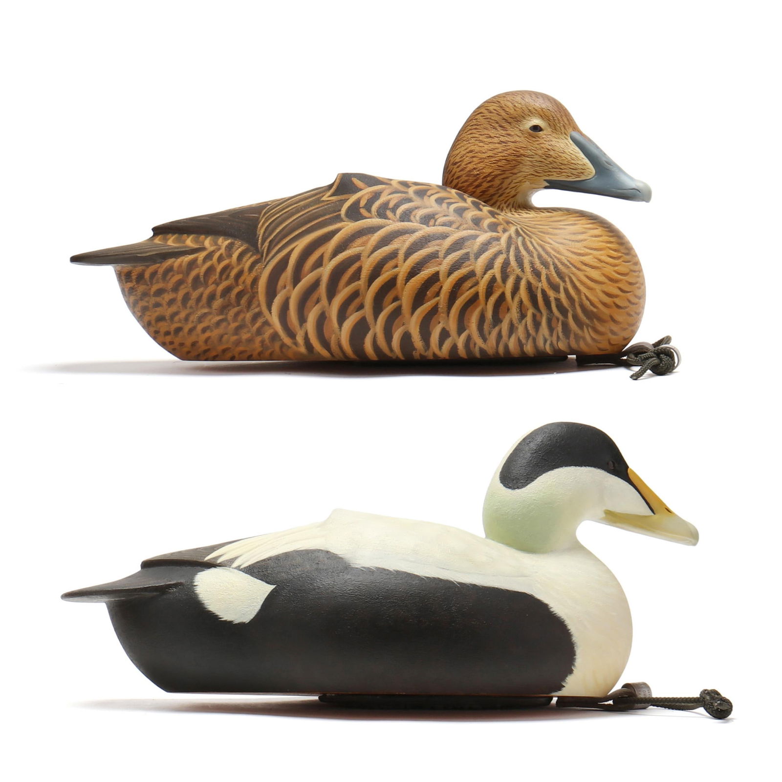 Ben Heinemann (NC), Pair of Eiders (1 of 8)