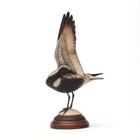 William "Bill" Gibian (VA, b. 1946), Preening Black Bellied Plover