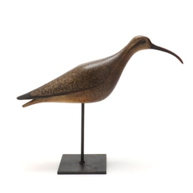 Cameron McIntyre (VA, b. 1968), Eskimo Curlew