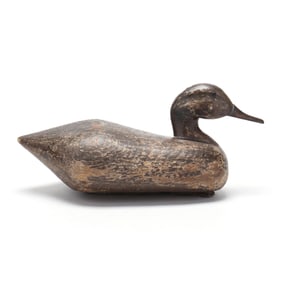 Sam Smith (NY), Swan Island Club Hen Pintail