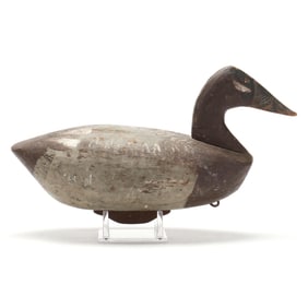 Russell Waterfield (VA, 1901-1948), Hen Canvasback