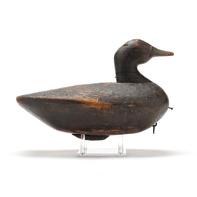 Charlie Waterfield (VA, 1883-1973), Published Black Duck