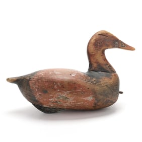Walter Beasley (NC, 1876-1953), Canvasback