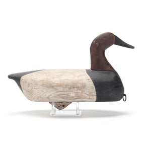Pell Austin (NC, 1887-1961), Canvasback