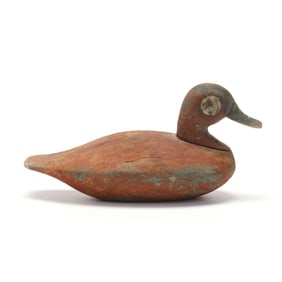 Early North Carolina Ruddy Duck