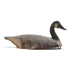 Early Elizabeth City Goose