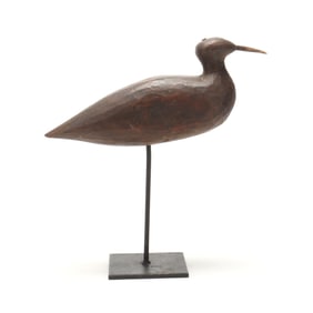 Eastern Shore Virginia Beetle Head Dowitcher