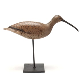 Early Eastern Shore Virginia Curlew