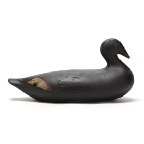 Augustus "Gus" Wilson (ME, 1864-1950), White-Winged Scoter