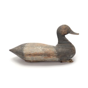 Robert Lambdin (MD), Bluebill