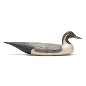Doug Jester (VA, 1876-1961), Pintail