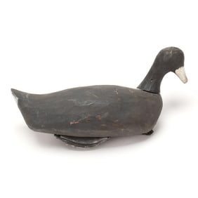 Clay Tillet (NC, 1913-1992), Roothead Coot