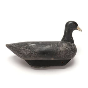 James "Jim Buck" Beasley (NC, 1890-1973), Coot