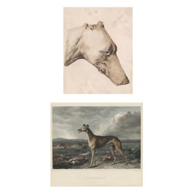 Two 19th Century English Greyhound Prints