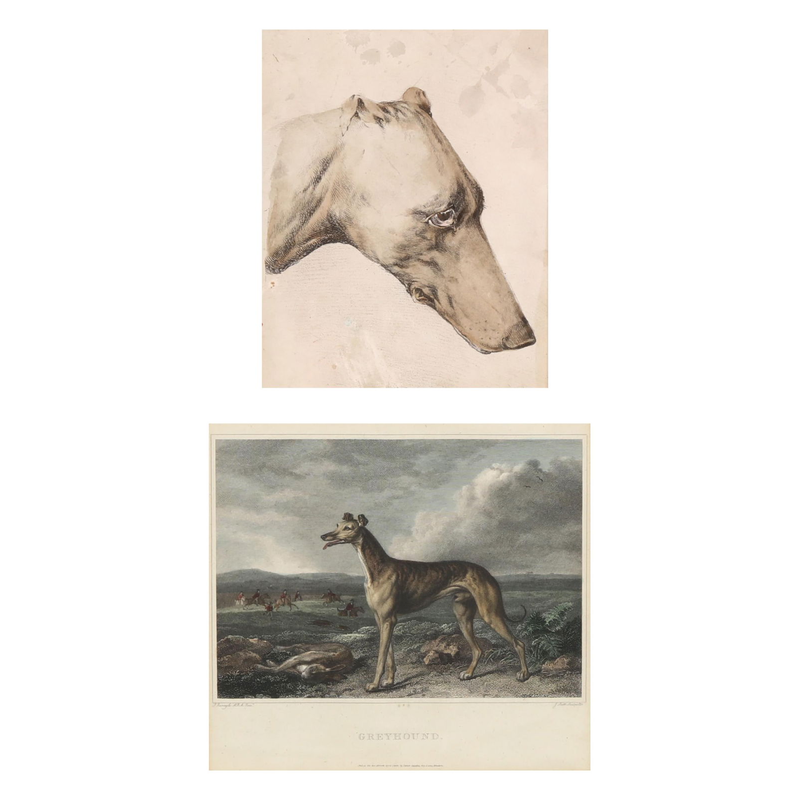 Two 19th Century English Greyhound Prints (1 of 11)