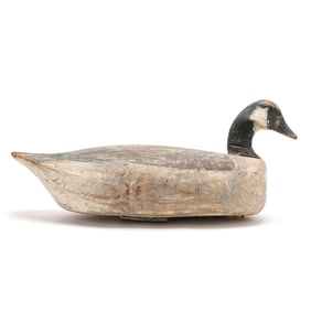 Eastern Shore Virginia Goose