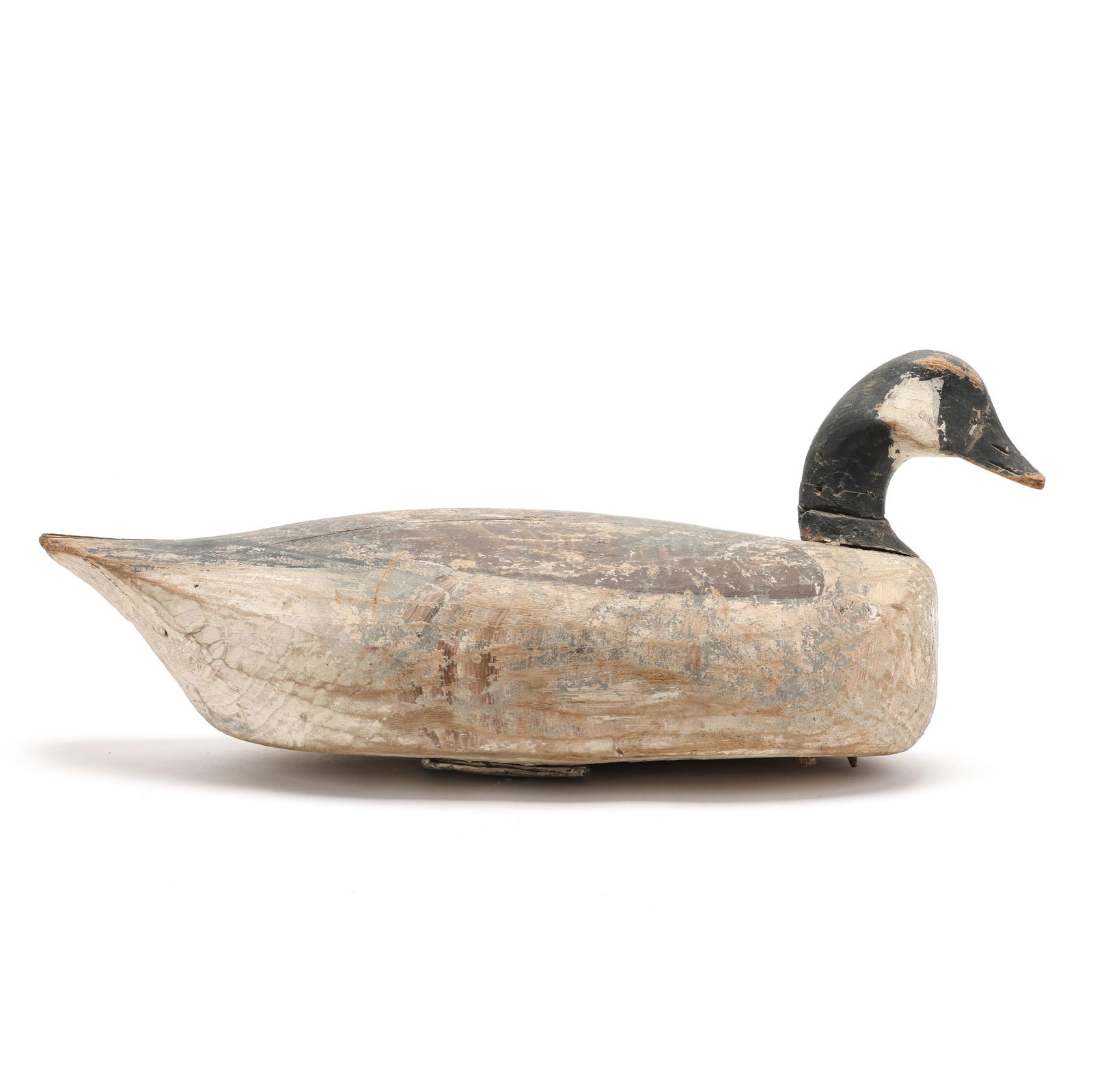 Eastern Shore Virginia Goose (1 of 7)