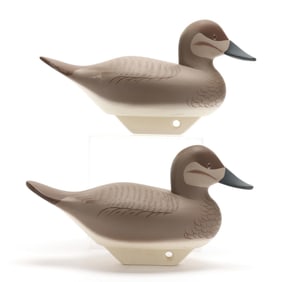 Charlie Bryan (MD, 1920-2008), Pair of Ruddy Ducks