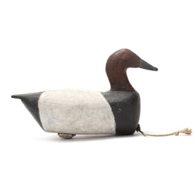George Waterfield (NC, 1885-1926), Canvasback