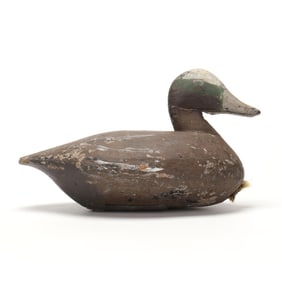 Early Knotts Island Widgeon