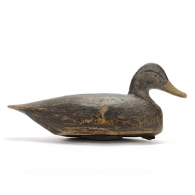 Miles Hancock (VA, 1887-1974), Black Duck