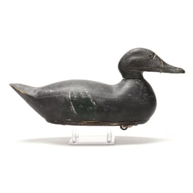 Early Factory Black Duck