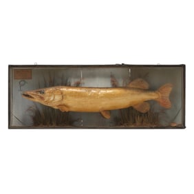Vintage English Diorama Featuring a Trophy Pike