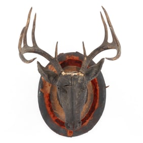 Attributed to Black Forest, Carved Deer Head Wall Mount