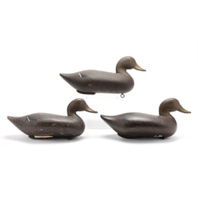 Charlie Bryan (MD, 1920-2008), Three Black Ducks