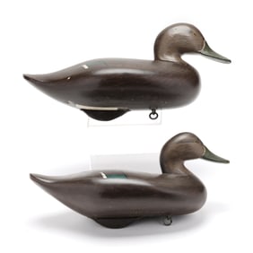 Madison Mitchell (MD, 1901-1993), Two Black Ducks