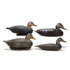 Chincoteague Black Ducks, Group of Four