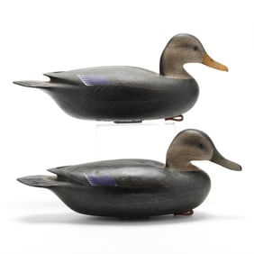 William Oler (NJ, 1940-2015), Pair of Black Ducks