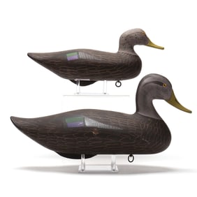 Captain Harry Jobes (MD, 1936-2019), Two Black Ducks