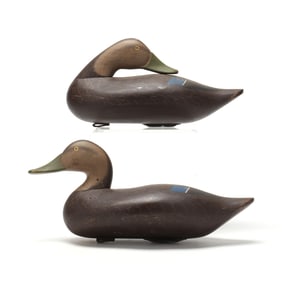 Bryon Bodt (MD), Pair of Black Ducks