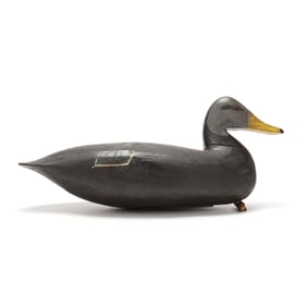 Charles Birch (VA, 1867-1956), Black Duck