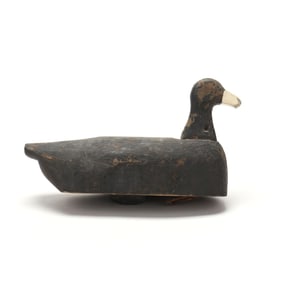 Cecil Shirley (NC,       ), Coot