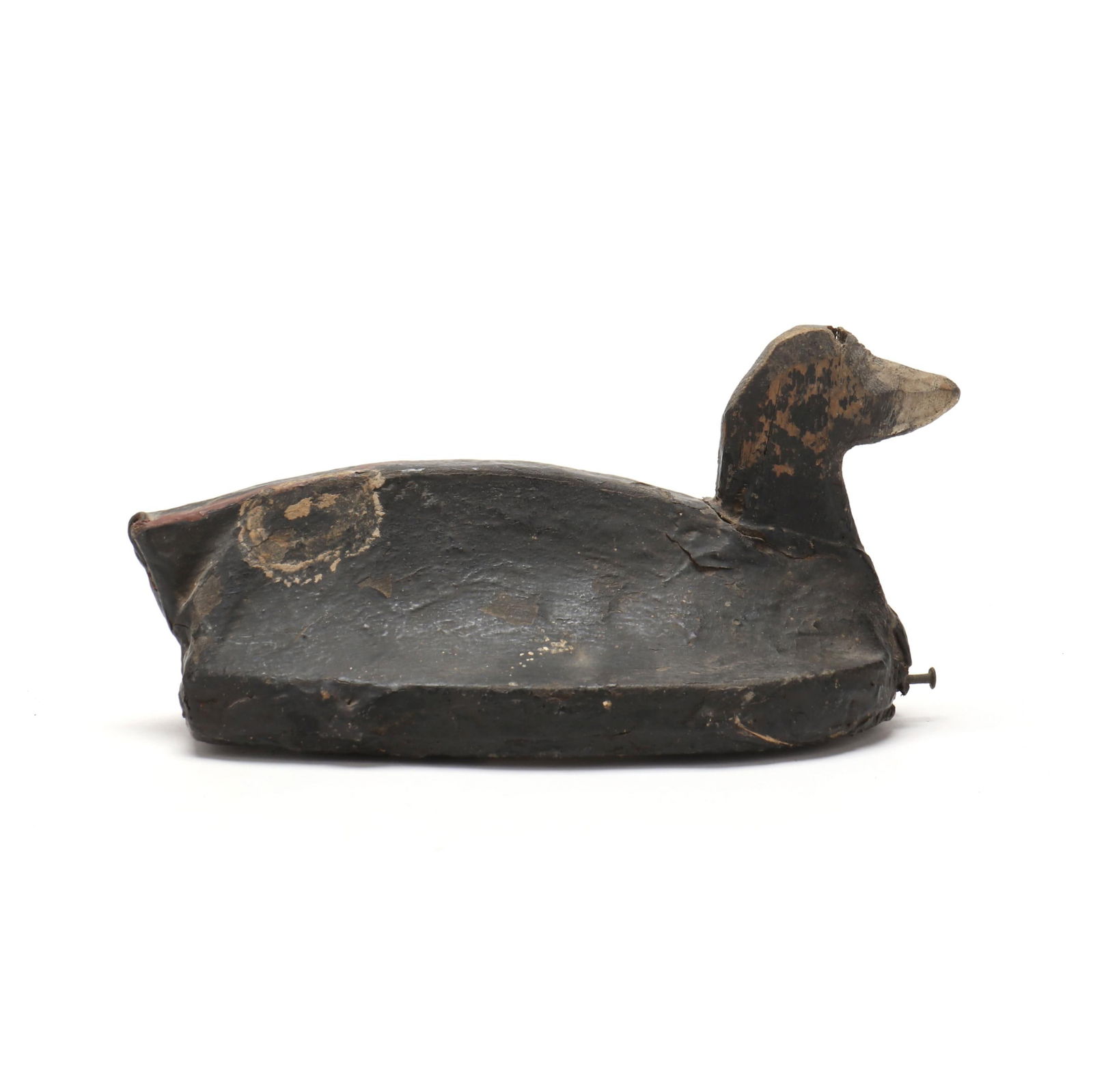 M.R. Mathias (VA), Coot (1 of 6)