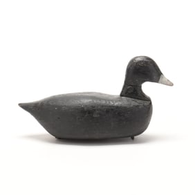 Claude Etheridge (NC, 1887-1976), Coot