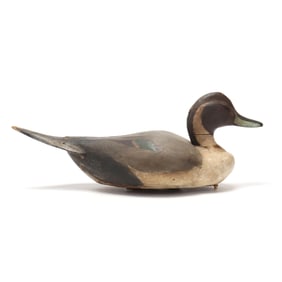 Early Crisfield Pintail