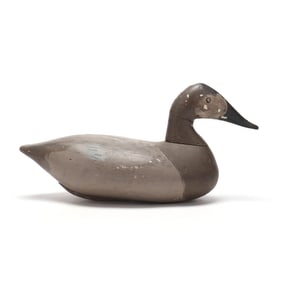 Stanley Evans (MD, 1887-1979), Hen Canvasback