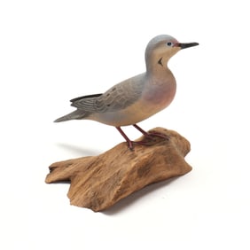 Curtis Waterfield (1922-2016), Mourning Dove