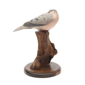 William Veasey (MD, 1932-2022), Resting Mourning Dove