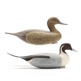 William Oler (NJ), Pair of Pintails